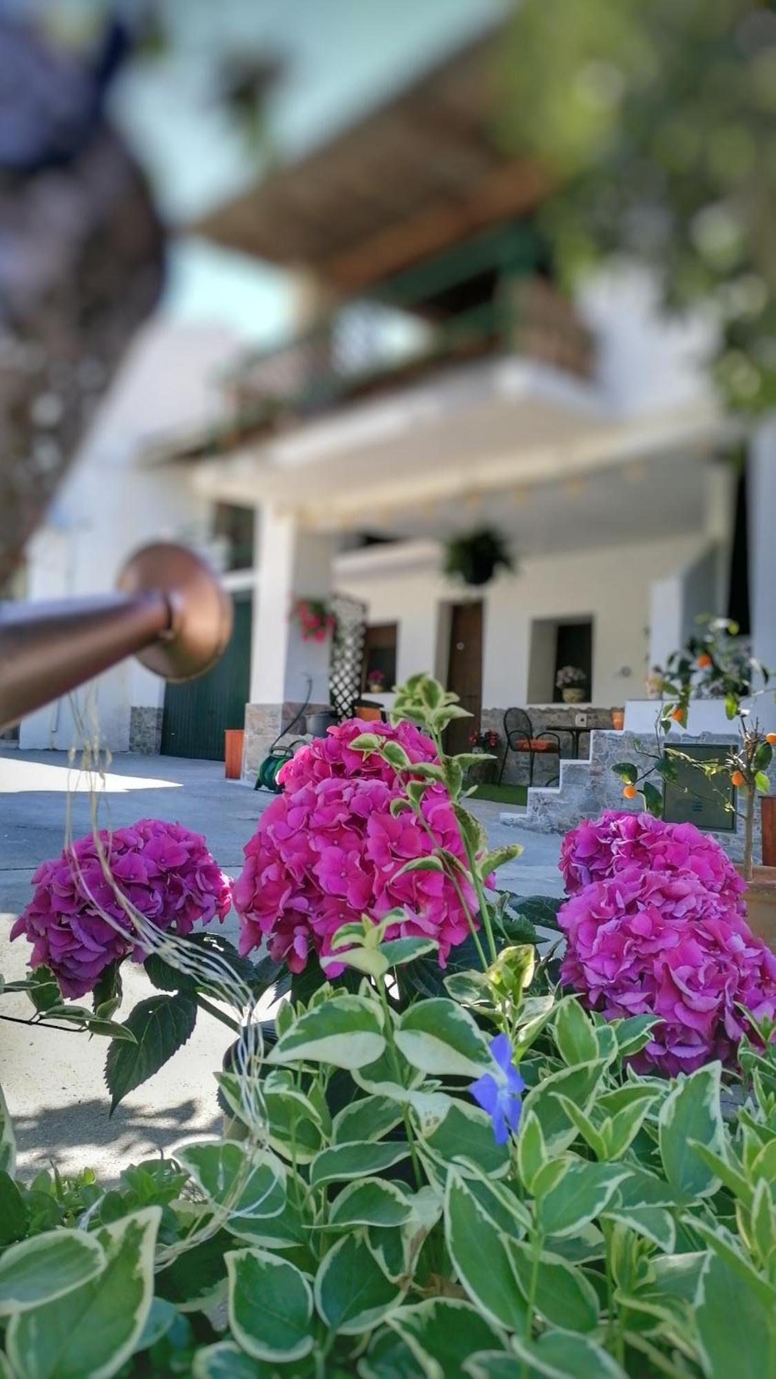 La Casa De La Abuela Leilighet Pinos Genil Eksteriør bilde