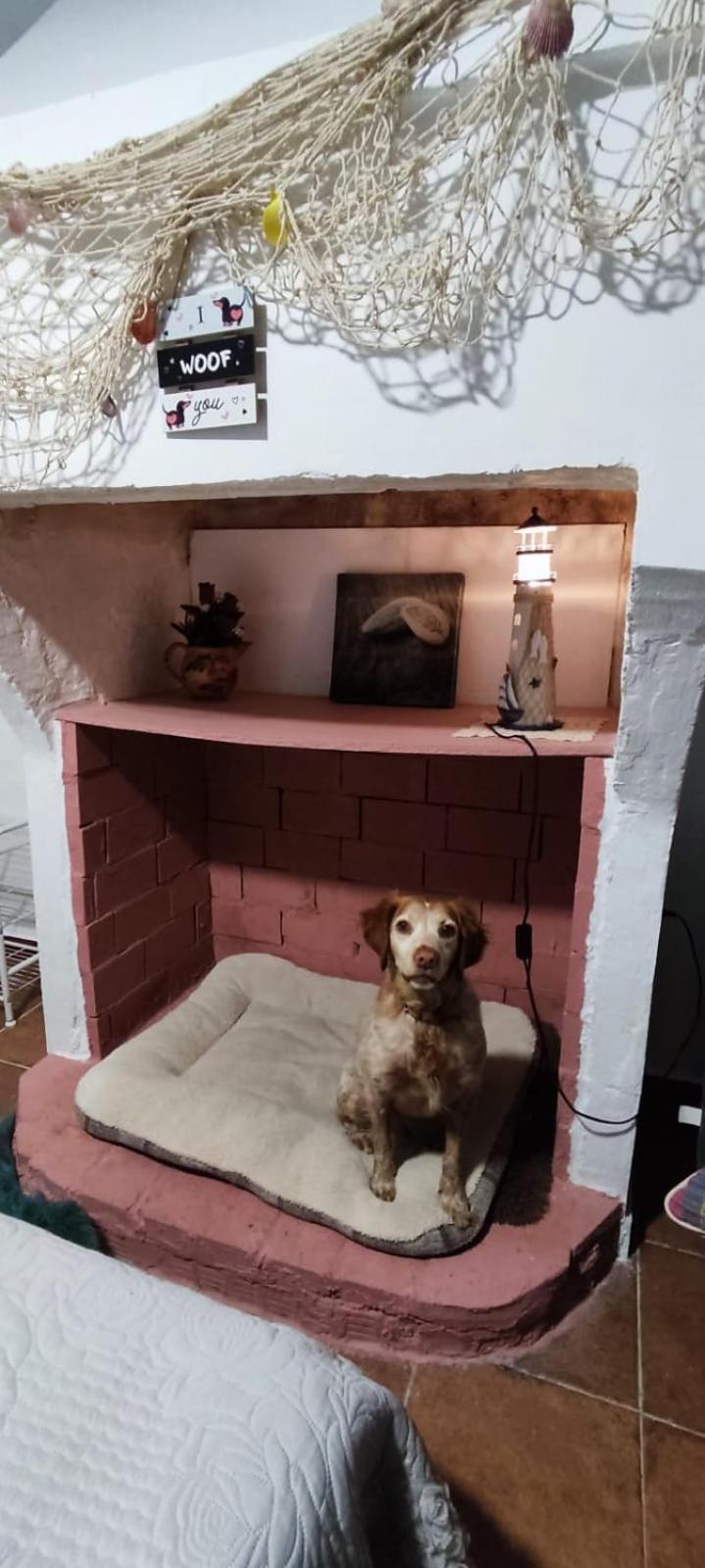 La Casa De La Abuela Leilighet Pinos Genil Eksteriør bilde